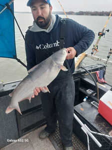 Catfish Fever at High Rock